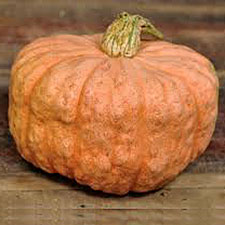 Pumpkin World Slow Food Hunter Valley Pumpkin World Slow Food Hunter Valley