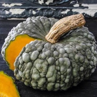 Pumpkin World Slow Food Hunter Valley Pumpkin World Slow Food Hunter Valley