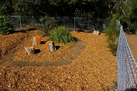 Native Food Garden Before work Started